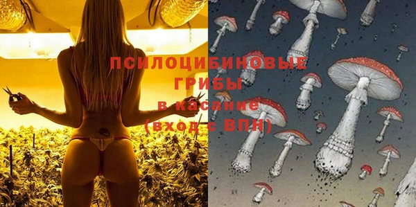 экстази Алексеевка